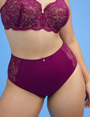 Lace High Brief