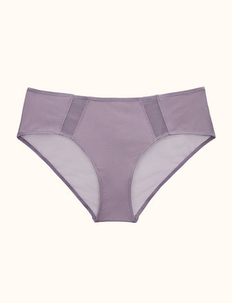 Ombre Mesh Cheeky - Stormy Lilac - Nylon/Spandex - ThirdLove,modelAA